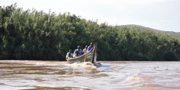 Budalang’i Forest: Rare Resource in Peril