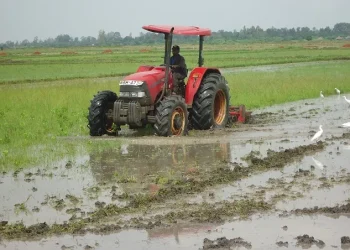Bunyala Rice Scheme: Pride of Nzoia