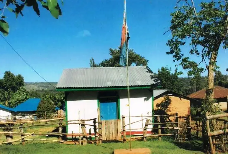 The Genesis of African Divine Church