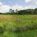Chebara Irrigation Scheme: A Model of Growth from Humble Beginnings