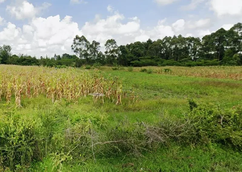 Chebara Irrigation Scheme: A Model of Growth from Humble Beginnings