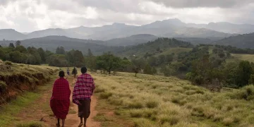 Chepkitale Forest: A Heritage of the Ogiek