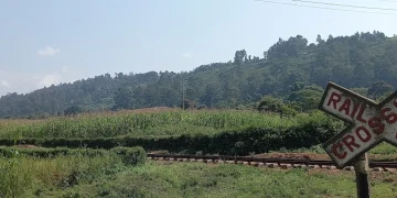 Chetambe Fort: The Strategic Defence