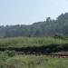 Chetambe Fort: The Strategic Defence