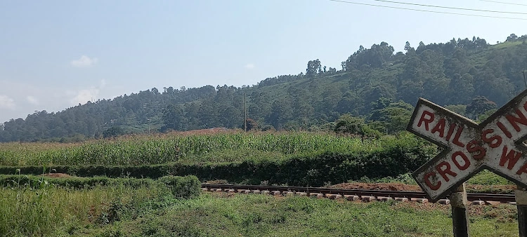 Chetambe Fort: The Strategic Defence