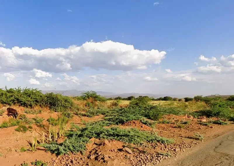 Chuine Community Conservancy: Baringo’s Biodiversity Frontier