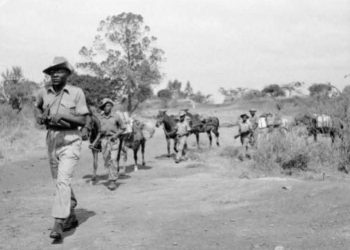 The Hut Tax in Kenya: How the British Forced Africans into the Cash Economy