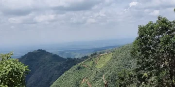 Daraja ya Mungu