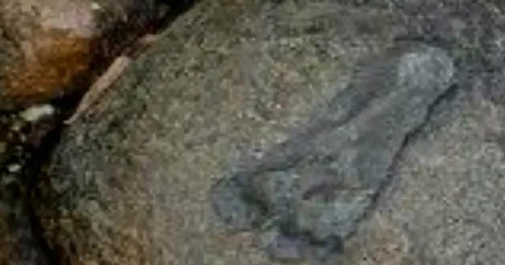 Givera Shrine: Mysterious Jesus Wagevere Rock