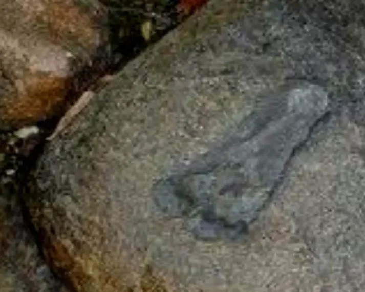 Givera Shrine: Mysterious Jesus Wagevere Rock