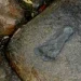 Givera Shrine: Mysterious Jesus Wagevere Rock
