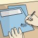 Write a Motor Vehicle Accident Report