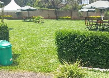 Kisii Ecocare Professional Landscapers Ltd – Transforming Outdoor Spaces with Nature’s Touch
