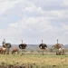 Kabarion Community Conservancy