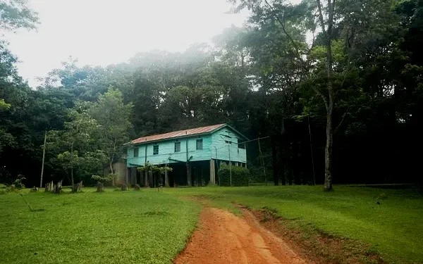 Kaimosi Forest: A Healthful Tropical Haven in Vihiga