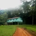 Kaimosi Forest: A Healthful Tropical Haven in Vihiga
