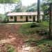 Kibiri Forest: A Pretty Outlier Tropical Forest in Vihiga