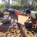 Kichutu Gold Mine: Artisanal Elbow Grease in Vihiga