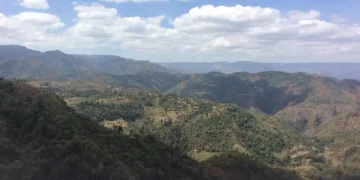 Lembus Forest
