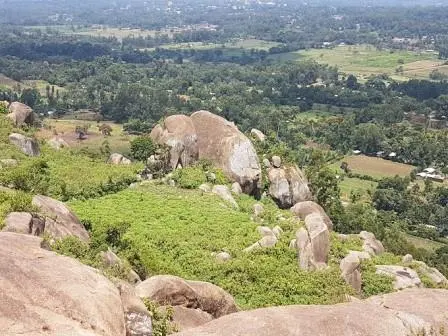 Luucho Hills: A Rare Rock Art Site