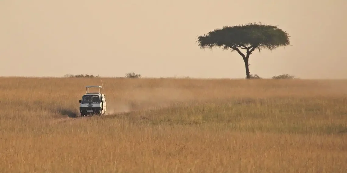 Masai Mara National Reserve: The Gateway Through Bomet
