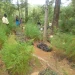 Morop-Tarambas Conservancy
