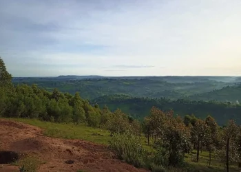 Motigo Hill: A Sacred Lookout Over Bomet
