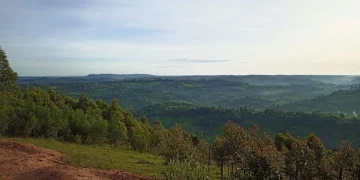 Motigo Hill: A Sacred Lookout Over Bomet