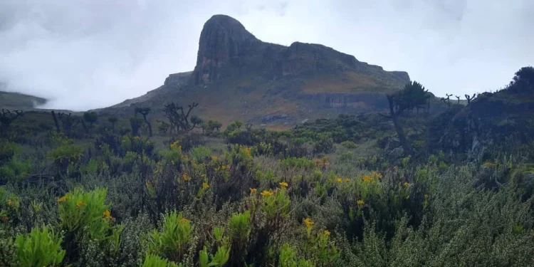 Mount Elgon: Bungoma’s Imposing Landmark