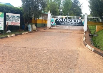 Mudete Tea Factory: A Tea-Lover’s Treat in Vihiga
