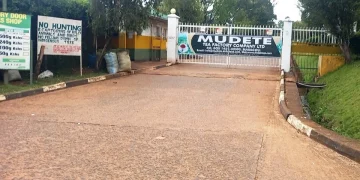 Mudete Tea Factory: A Tea-Lover’s Treat in Vihiga