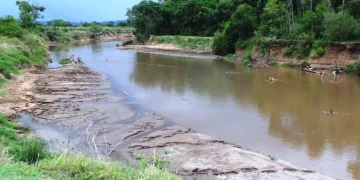 Nyangores River: The Lifeline of Bomet and Masai Mara