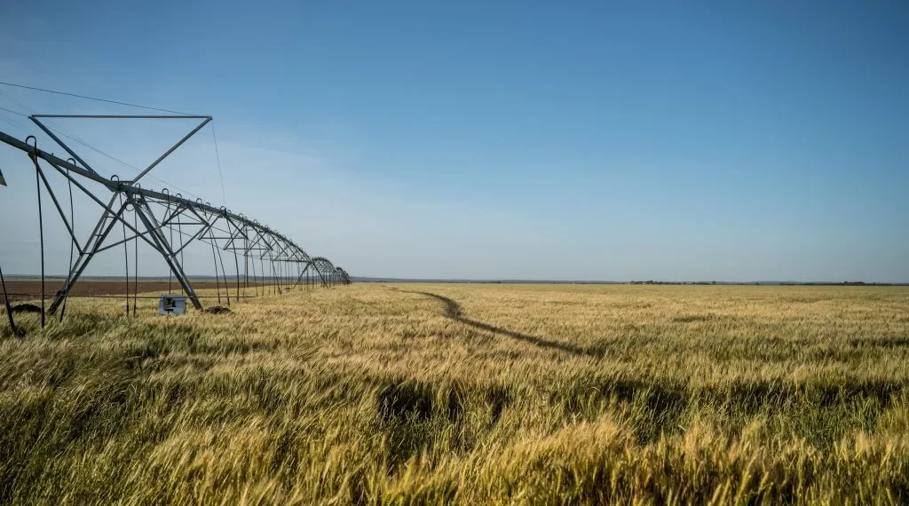 Perkerra Irrigation Scheme: Reviving Baringo’s Agricultural Heartland