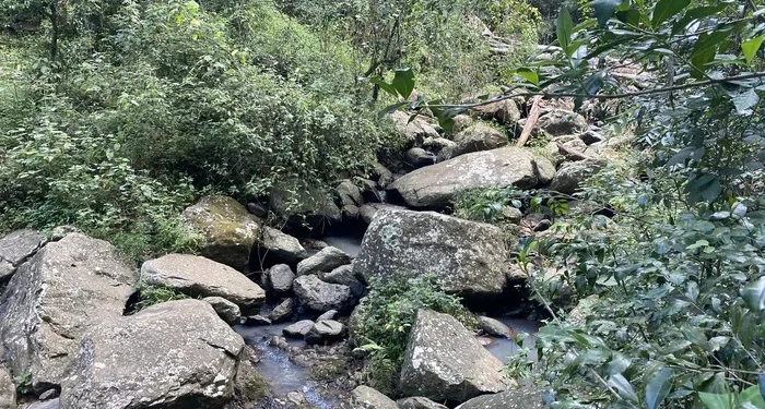 Releng Hot Springs