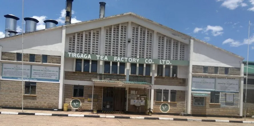 Tirgaga Tea Factory: Guided Tea Tours in Bomet