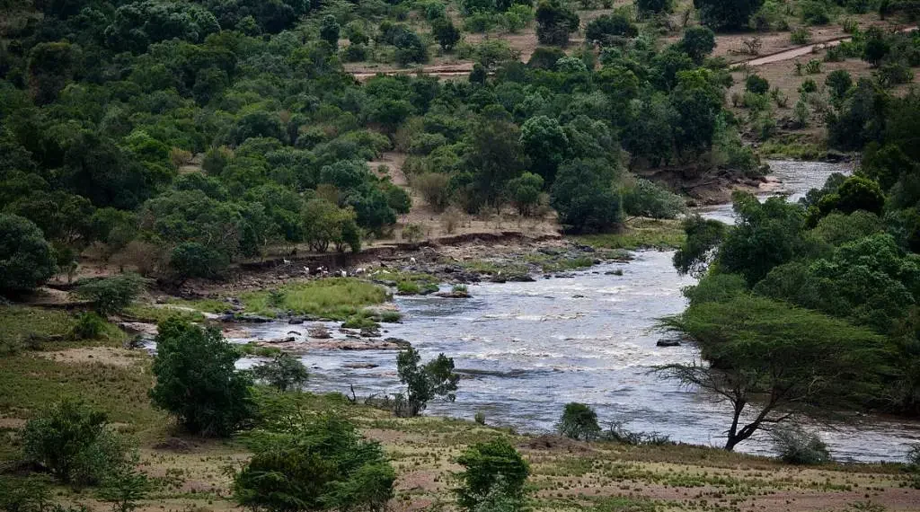 Trans Mara Forest: A Community Gem at Risk