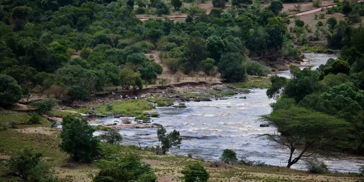 Trans Mara Forest: A Community Gem at Risk