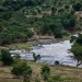 Trans Mara Forest: A Community Gem at Risk