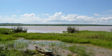 Yala Swamp: A Rare Biodiversity