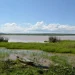 Yala Swamp: A Rare Biodiversity