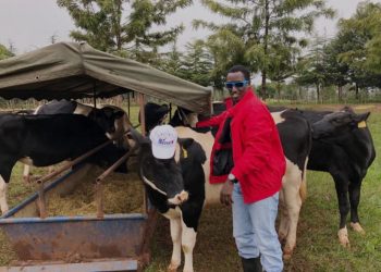 From Ksh80 a Day to Billionaire: The Inspiring Rise of Zedekiah Kiprop “Buzeki” Bundotich