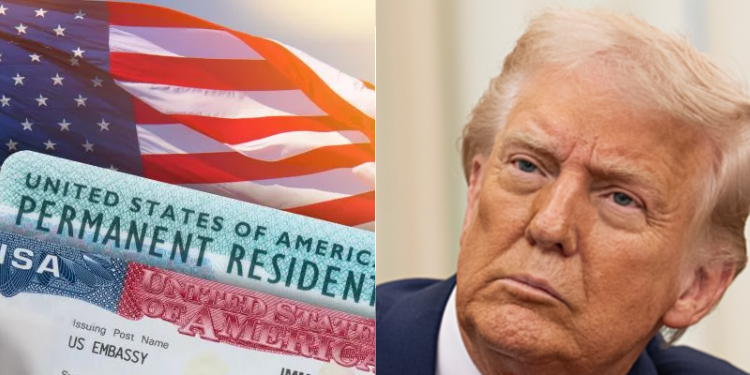 Kenyans Affected as New Green Card Application Fee Takes Effect This Month