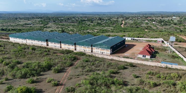 Dr. Raymond Omollo Highlights Progress on Migori County Aggregation and Industrial Park