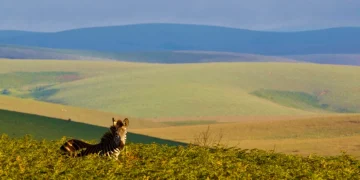 List of Plateaus in Kenya and Where They Are Located
