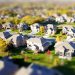African Real Estate Leaders Shaping Urban Growth