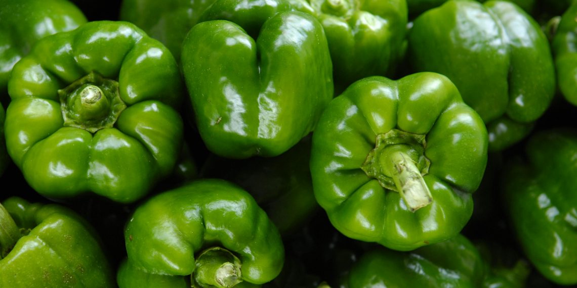 Top Best Agricultural Product Dealers in California