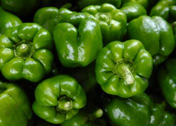 Top Best Agricultural Product Dealers in California