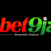 Full List of Companies Owned by Kunle Soname, Founder of Bet9ja