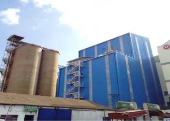 Unga Group Warns of Price Wars as Three New Millers Enter the Kenyan Market