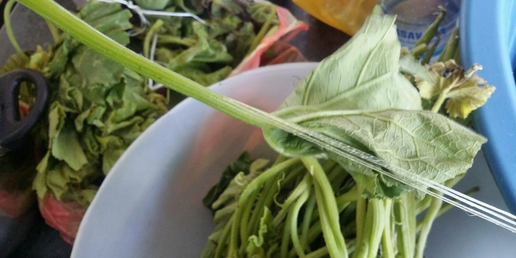 How To Cook Pumpkin Leaves – Guide For Tender and Flavorful Results